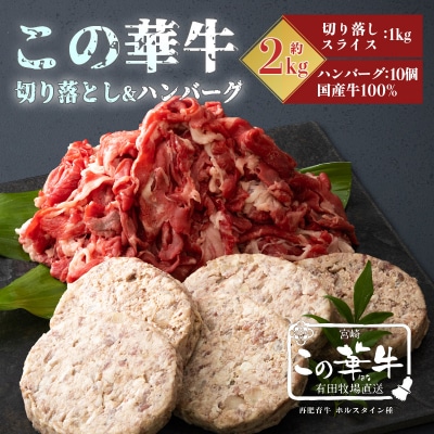 有田牧場直送  薬剤不使用 この華牛切落スライス&ハンバーグ2kg TF461