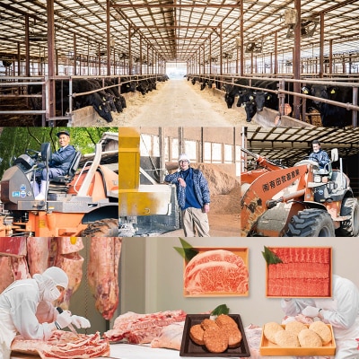 有田牧場直送  薬剤不使用 この華牛切落スライス&ハンバーグ2kg TF461