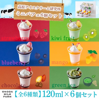 高原アイスクリーム研究所 『ミニパフェ』(6個セット) 　TF299
