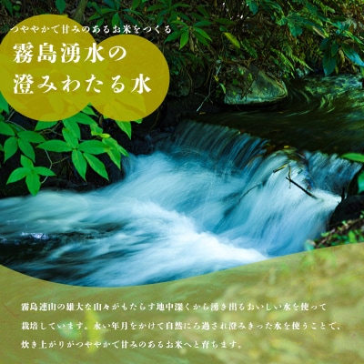 【令和8年産】霧島湧水が育む『きりしまのゆめ』特別栽培米ヒノヒカリ6kg(2kg×3p) TF304