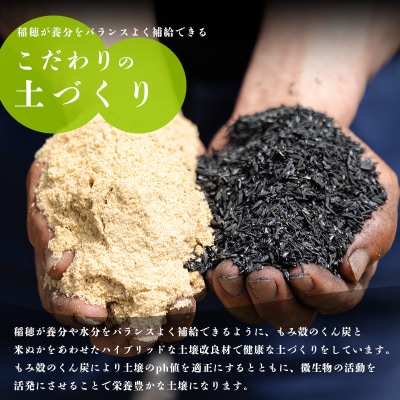 【令和7年産】霧島湧水が育む『きりしまのゆめ』特別栽培米ヒノヒカリ6kg(2kg×3p) TF304