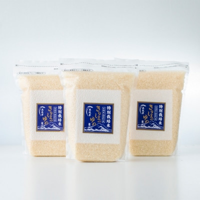 令和7年産】霧島湧水が育む「きりしまのゆめ」特別栽培米ヒノヒカリ6kg