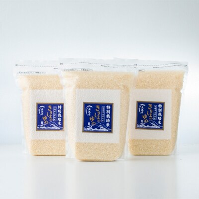 【令和8年産】霧島湧水が育む『きりしまのゆめ』特別栽培米ヒノヒカリ6kg(2kg×3p) TF304