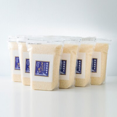 【6年産新米】霧島湧水が育む「きりしまのゆめ」ヒノヒカリ12kg [特別栽培米 無洗米] TF306
