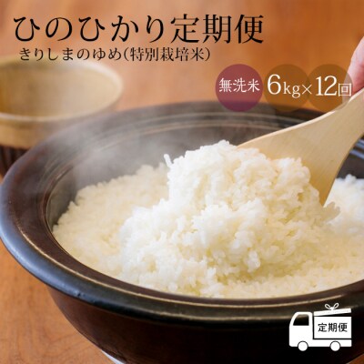 【定期便:12ヶ月連続】霧島湧水が育む「きりしまのゆめ」ヒノヒカリ6kg×12回　特産品番号449