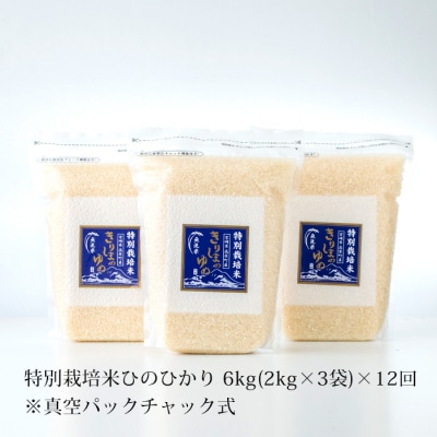 【定期便:12ヶ月連続】霧島湧水が育む「きりしまのゆめ」新米ヒノヒカリ6kg×12回　TF449