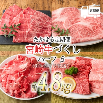 『定期便』宮崎牛たかはる定期便ハーフβ(6回 偶数月発送)　TF310