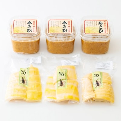 あさひの里　みそ・たけのこセット　TF362