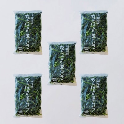 九州産 冷凍ほうれん草2.5kg(500g×5袋)　TF477