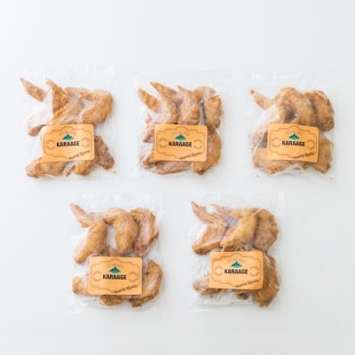 手羽先から揚げパーティセット　TF431