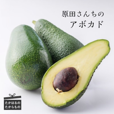 原田さんちの宮崎県高原町産アボカド650g　特産品番号482