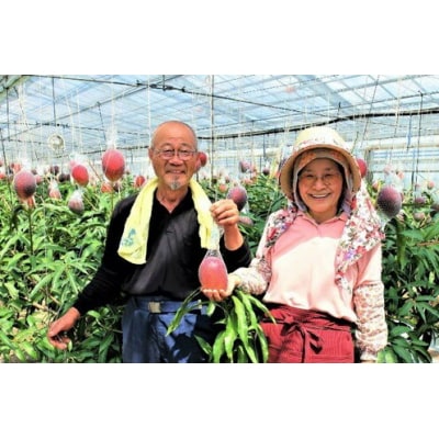 原田さんちの宮崎県高原町産アボカド650g　特産品番号482
