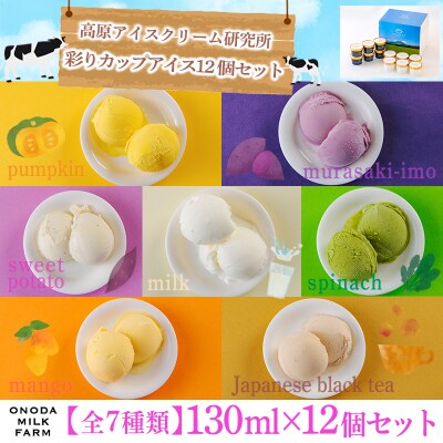 高原アイスクリーム研究所　カップアイス12個セット　TF300
