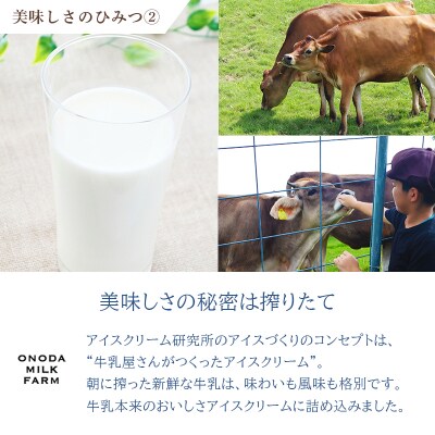 高原アイスクリーム研究所　カップアイス12個セット　TF300