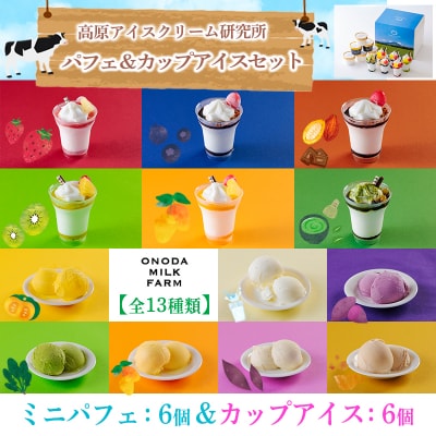 高原アイスクリーム研究所　パフェ&カップアイス12個セット　TF301