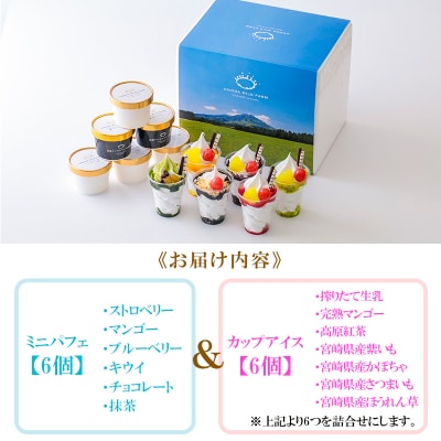 高原アイスクリーム研究所　パフェ&カップアイス12個セット　TF301