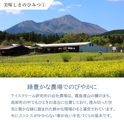 【定期便 10回】 高原アイスクリーム研究所(小野田牧場)のカップアイスセット TF181