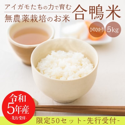 【令和5年産先行受付】高原町産 無農薬合鴨米 5kg　特産品番号423