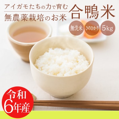 【令和6年産新米】《先行受付》高原町産 無農薬合鴨米 5kg　TF422