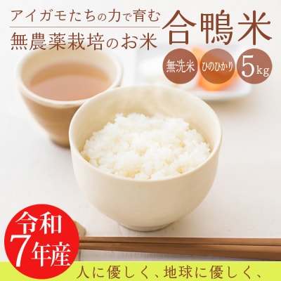 【令和7年産新米】《先行受付》高原町産 無農薬合鴨米 5kg　TF422