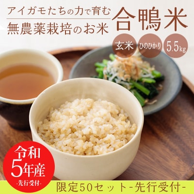 【令和5年産先行受付】高原町産 無農薬合鴨米(玄米)5.5kg　特産品番号424 | ふるさと納税のお礼品