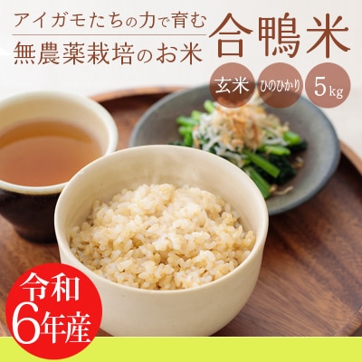 【令和6年産新米】高原町産 無農薬合鴨米(玄米)5kg TF424