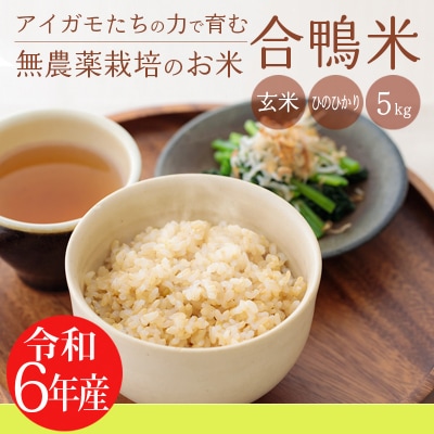 令和6年産 高原町産 無農薬合鴨米(玄米)5kg　TF424