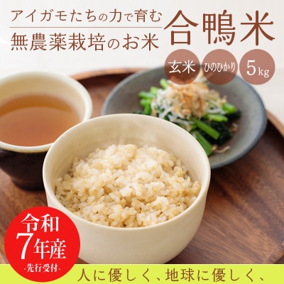 令和7年産 高原町産 無農薬合鴨米(玄米)5kg　TF424