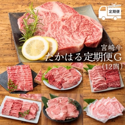 『定期便』宮崎牛たかはる定期便G(12回)　特産品番号400