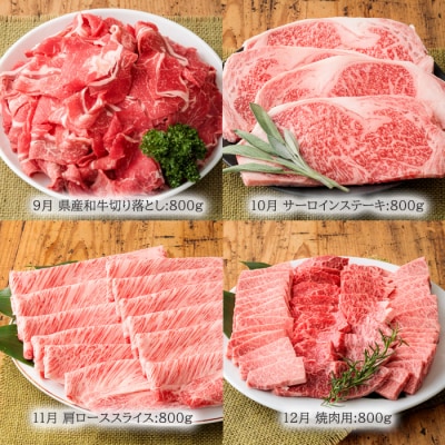 『定期便』宮崎牛づくし　たかはる定期便(12回)　TF308