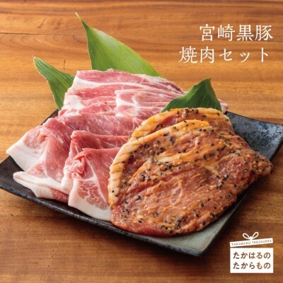 宮崎黒豚焼肉セット　TF388