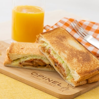 国産チキンバラエティセット　TF396