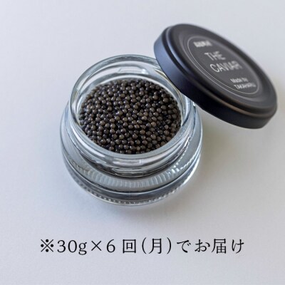 『定期便』:6ヶ月　THE・CAVIAR(ザ・キャビア)30g　TF492