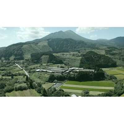 THE・CAVIAR(2種食べ比べセット) 合計40g　TF509