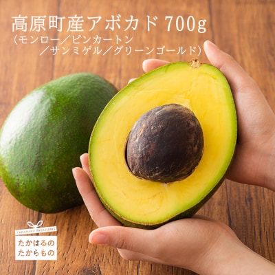 【限定50セット】宮崎県高原町産アボカド　特産品番号506