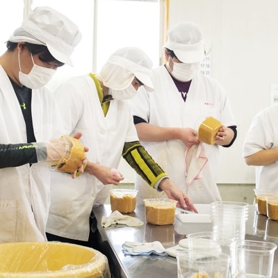 あさひの里　手作り合わせ味噌　TF521