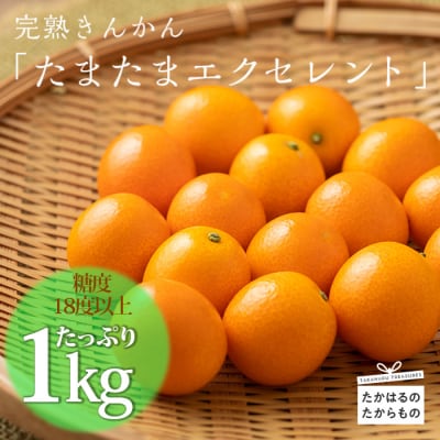 【期間限定】宮崎特産完熟きんかん「たまたま」&ldquo;エクセレント&rdquo; 贈答用1kg TF432