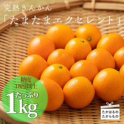 【期間限定】宮崎特産完熟きんかん「たまたま」“エクセレント” 贈答用1kg TF432