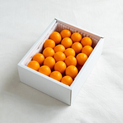 【期間限定】宮崎特産完熟きんかん「たまたま」“エクセレント” 贈答用1kg TF432