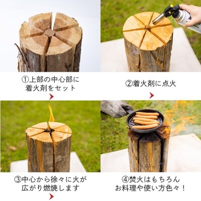 スウェーデントーチ(1本)　特産品番号500