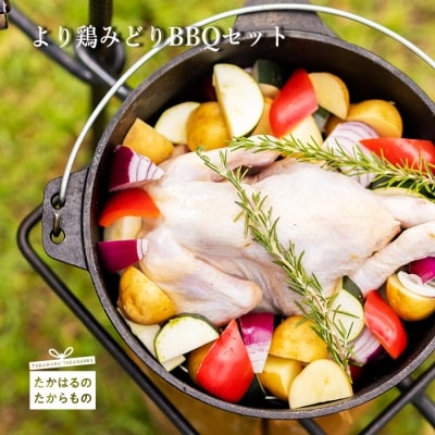 より鶏みどりBBQセット　sj-474