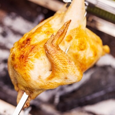 より鶏みどりBBQセット　sj-474