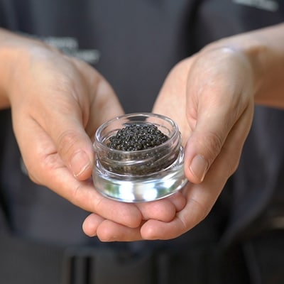 THE・CAVIAR(ザ・キャビア)10g　訳アリecoパッケージ　特産品番号531
