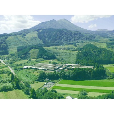 THE・CAVIAR(4種食べ比べセット) 合計40g　TF550