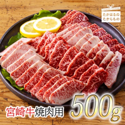 厳選 宮崎牛焼肉用500g 　特産品番号556