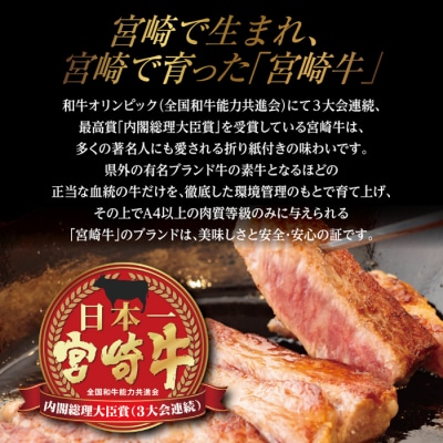 厳選 宮崎牛焼肉用500g 　特産品番号556