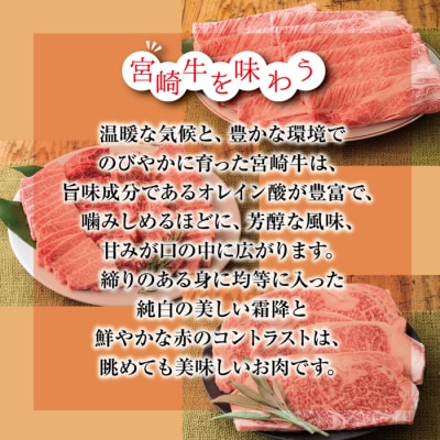 厳選 宮崎牛焼肉用500g 　特産品番号556