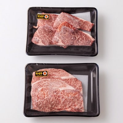 ミヤチク 宮崎牛ロースステーキ500g&モモステーキ400g　TF541