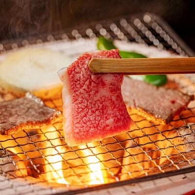 ミヤチク 宮崎牛赤身焼肉(ウデ・モモ)800g&黒毛和牛小間切れ200g　TF545