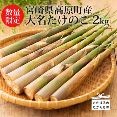 【数量・期間限定】宮崎県高原町産大名たけのこ約2kg　TF409